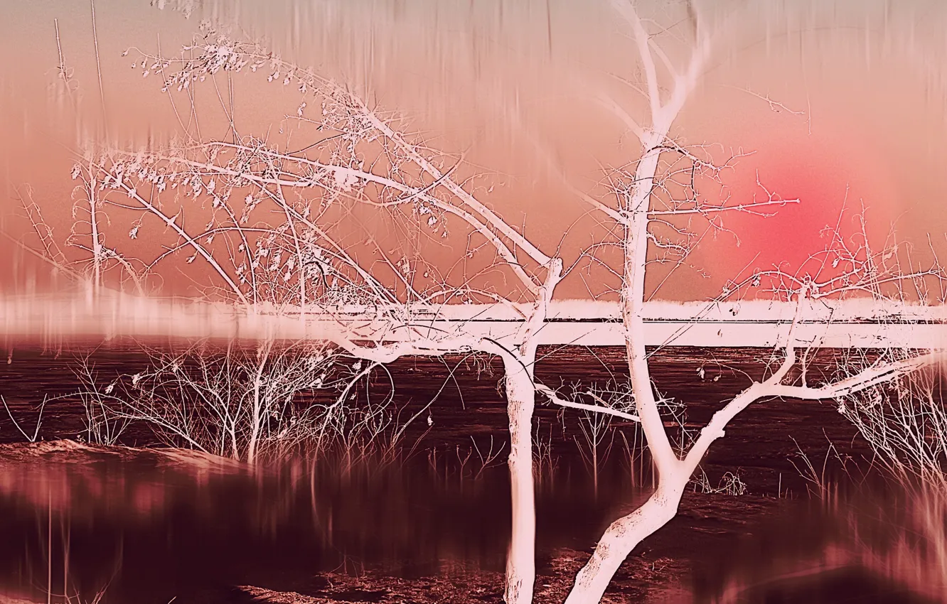 Фото обои река, дерево, цвет