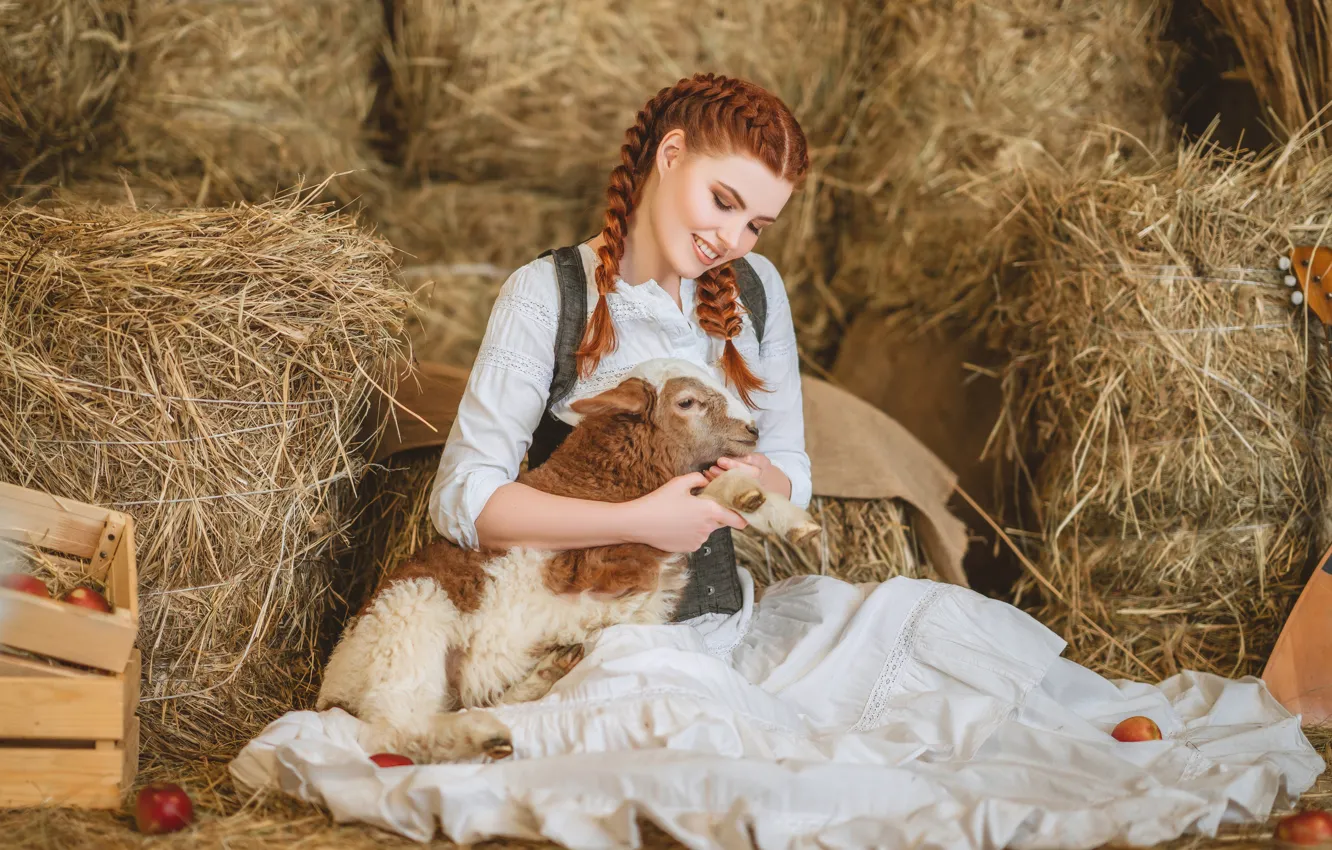Фото обои девушка, улыбка, сено, рыжая, барашек, рыжеволосая, овечка, косы