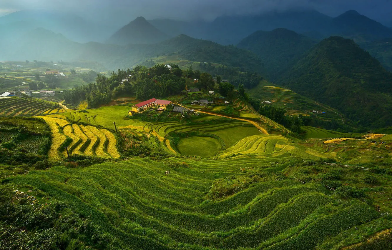 Фото обои облака, горы, рис, террасы, vietnam, rice terraces, Вьтнам