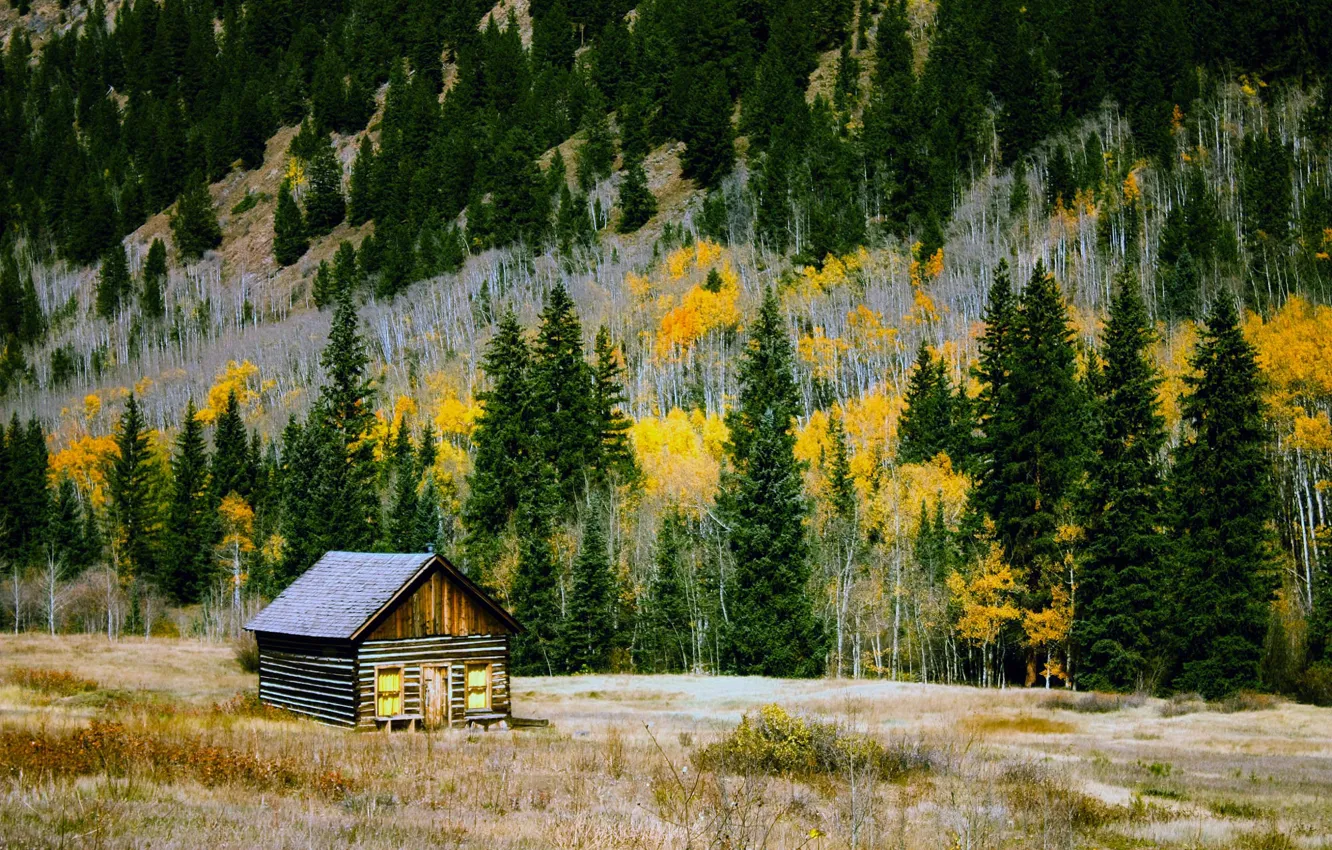 Фото обои осень, лес, деревья, горы, дом, поляна, Колорадо, США