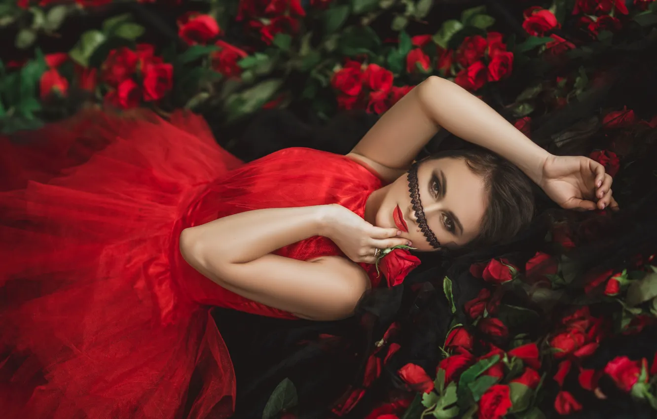 Фото обои взгляд, девушка, цветы, лицо, поза, женщина, портрет, розы