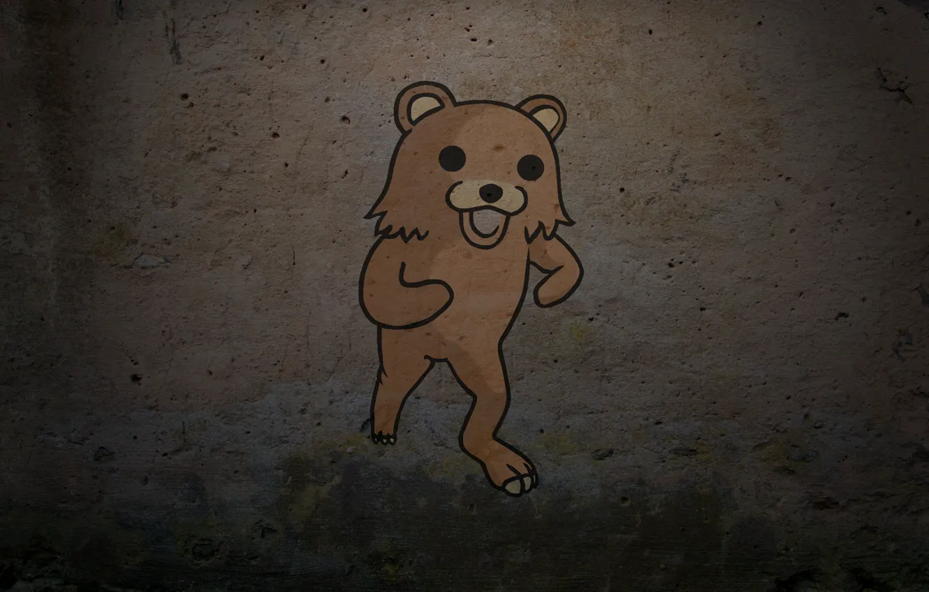 Фото обои фон, стена, медведь, bear