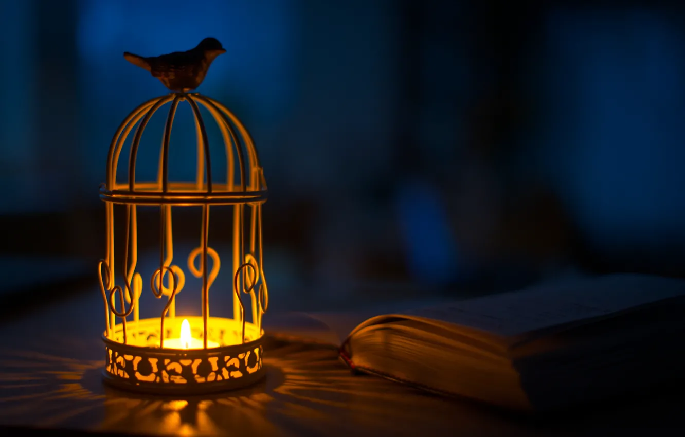 Фото обои свет, птица, свеча, фонарик, фонарь, тени, книга