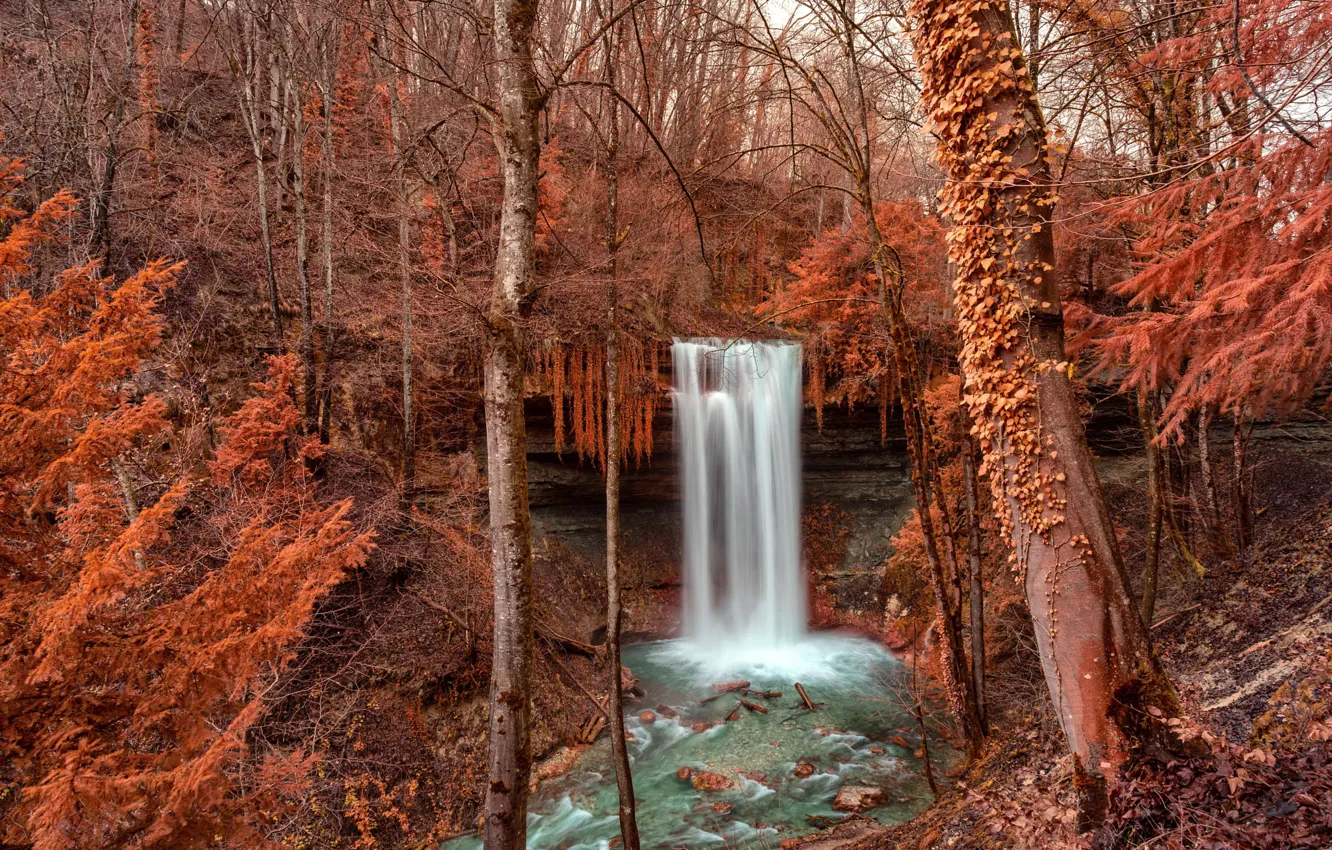 Фото обои осень, лес, деревья, ветки, скалы, водопад