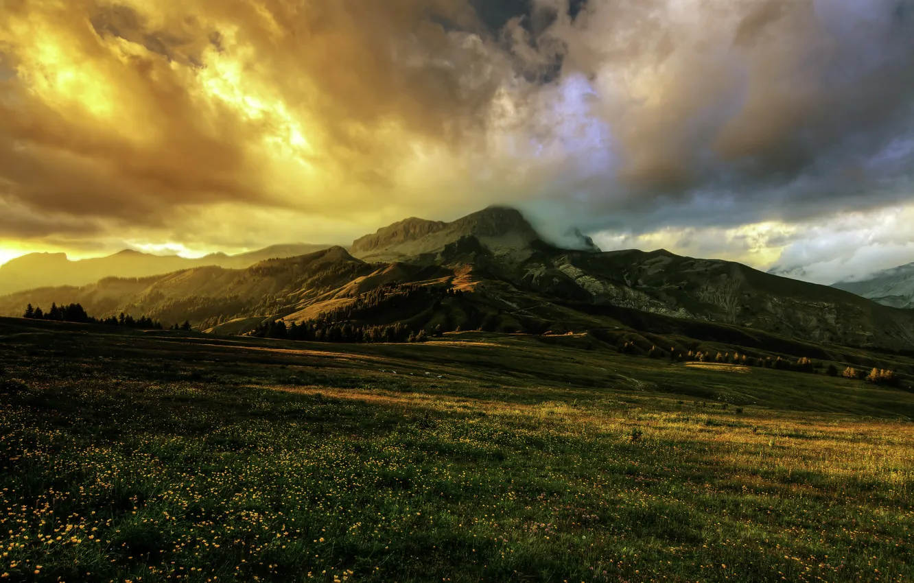 Фото обои поле, горы, тучи, Франция, Альпы, Alpes, Provence