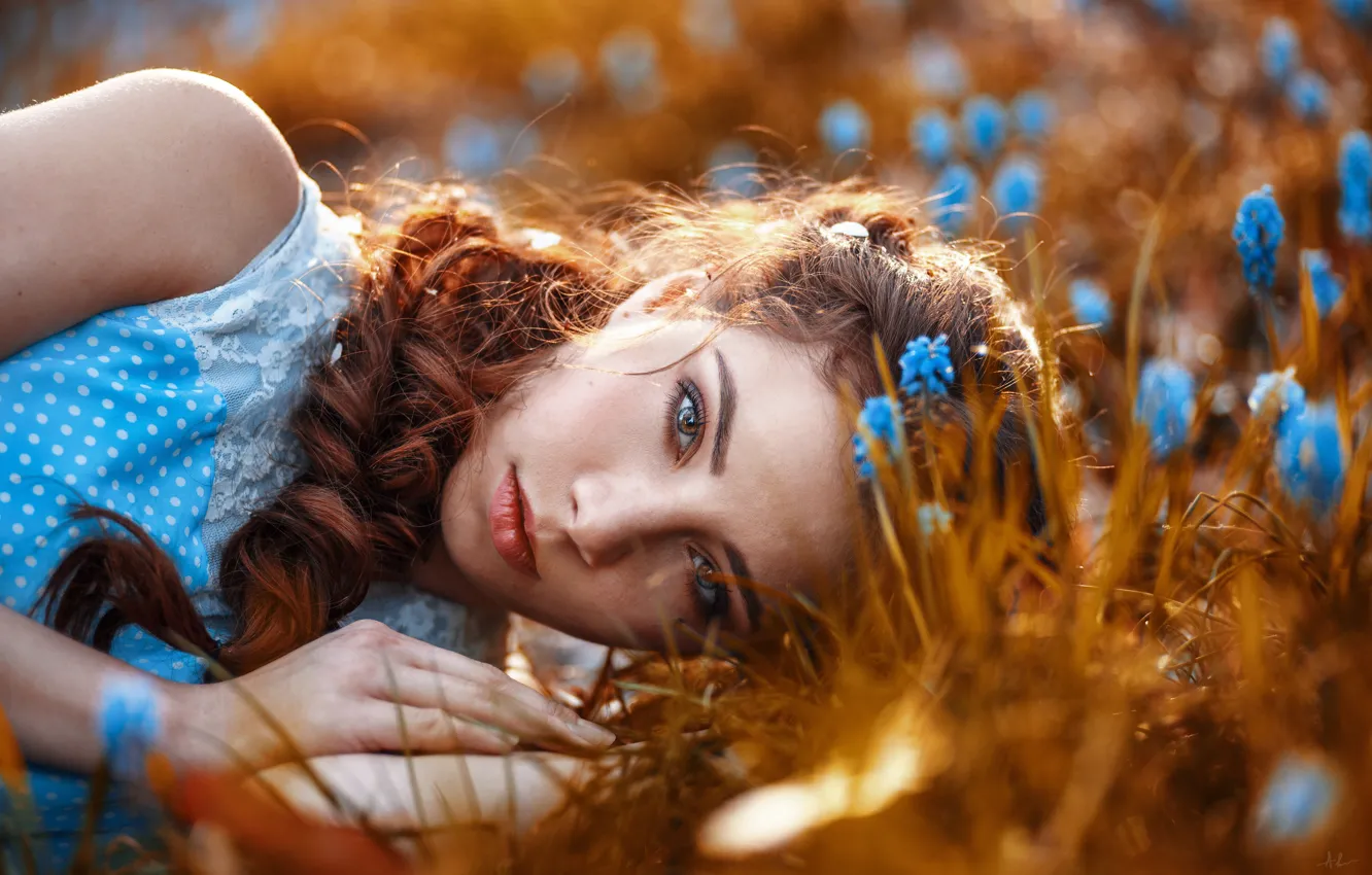 Фото обои трава, взгляд, девушка, цветы, природа, лицо, коса, шатенка