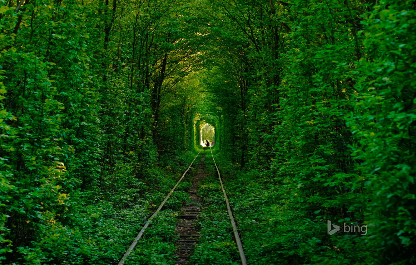 Фото обои дорога, лес, деревья, рельсы, силуэт, Украина, тоннель любви, Клевань