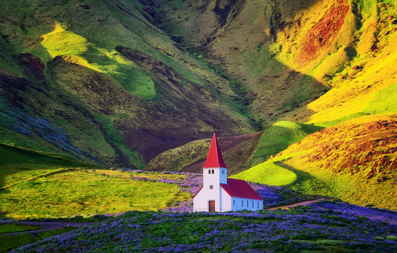 Фото обои colorful, photography, landscape, nature, photographer, flowers, mountains, Iceland