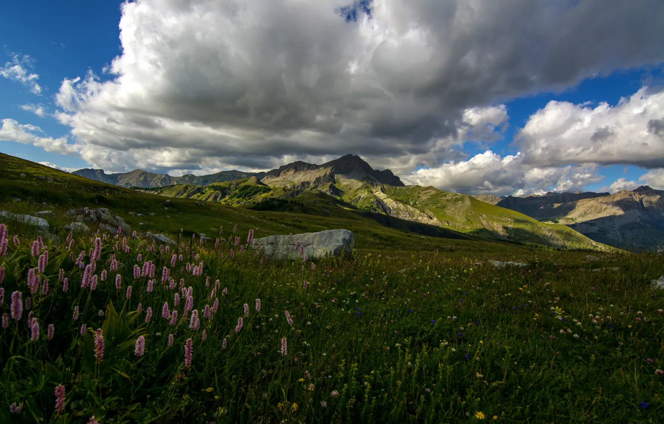 Фото обои трава, облака, горы, камни, Франция, луг, люпин, Colmars