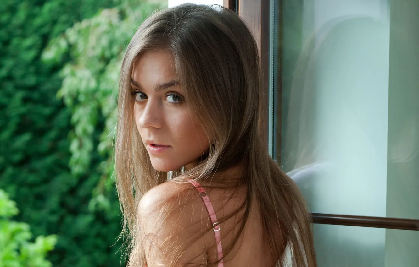Фото обои взгляд, лицо, модель, шатенка, Lily C, Raisa, Natalia E