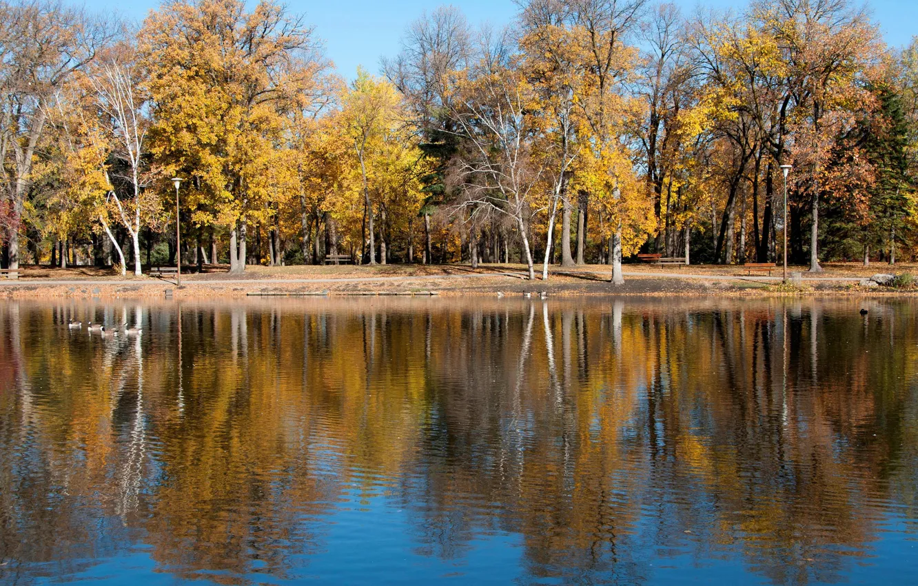 Фото обои осень, деревья, озеро, пруд, парк
