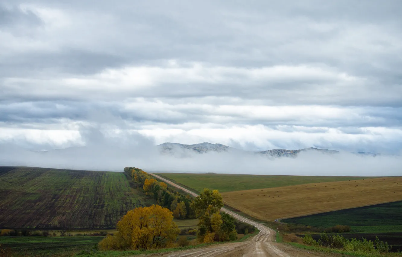 Фото обои осень, горы, природа, дождь, хакасия, туман в горах