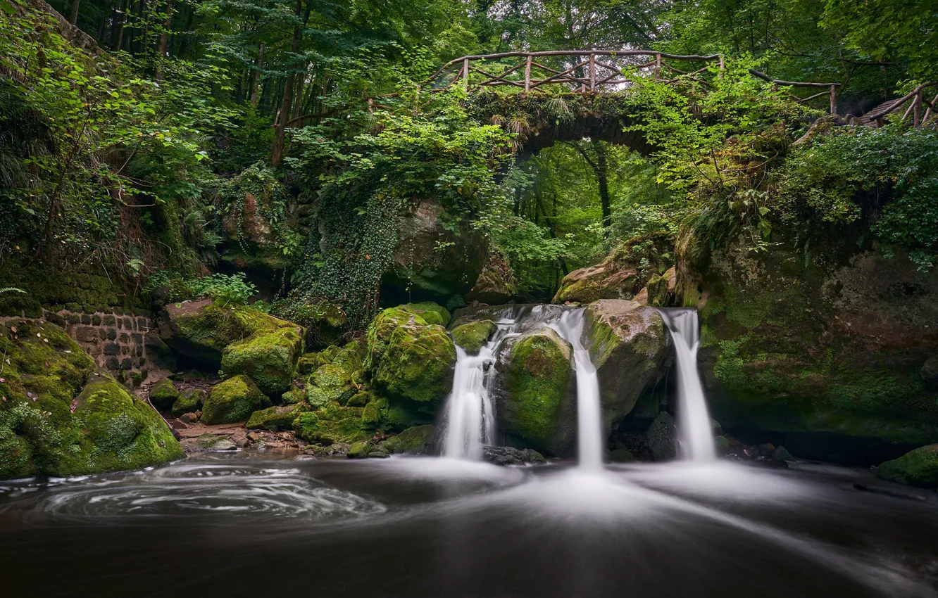 Фото обои лес, мост, река, камни, водопад, мох, Люксембург, Luxembourg
