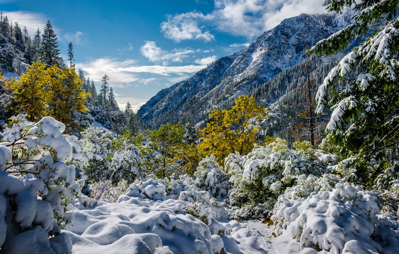 Фото обои снег, горы, Калифорния, California, эима, Альпы Тринити, Trinity Alps