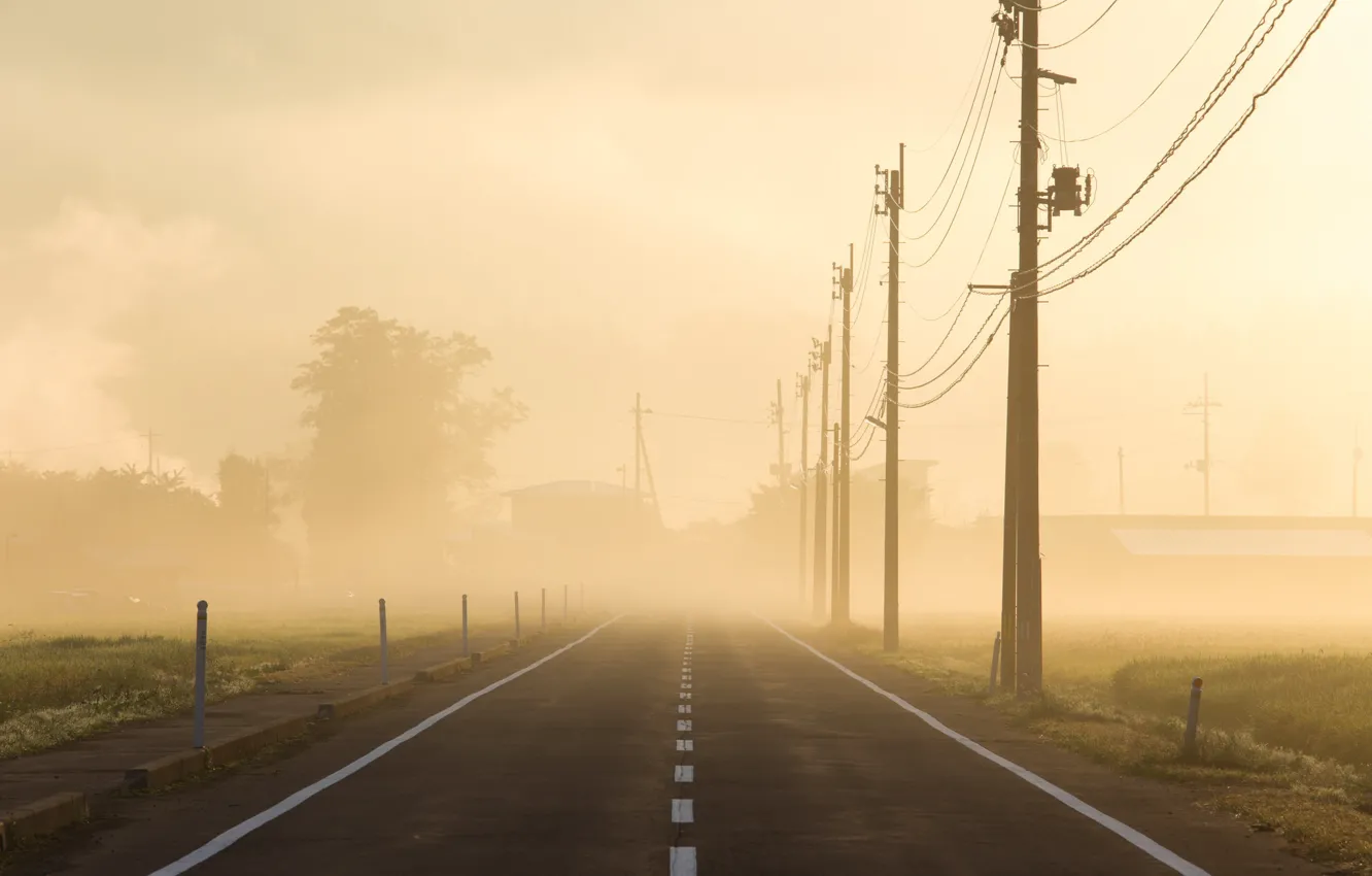 Фото обои дорога, туман, утро, лэп