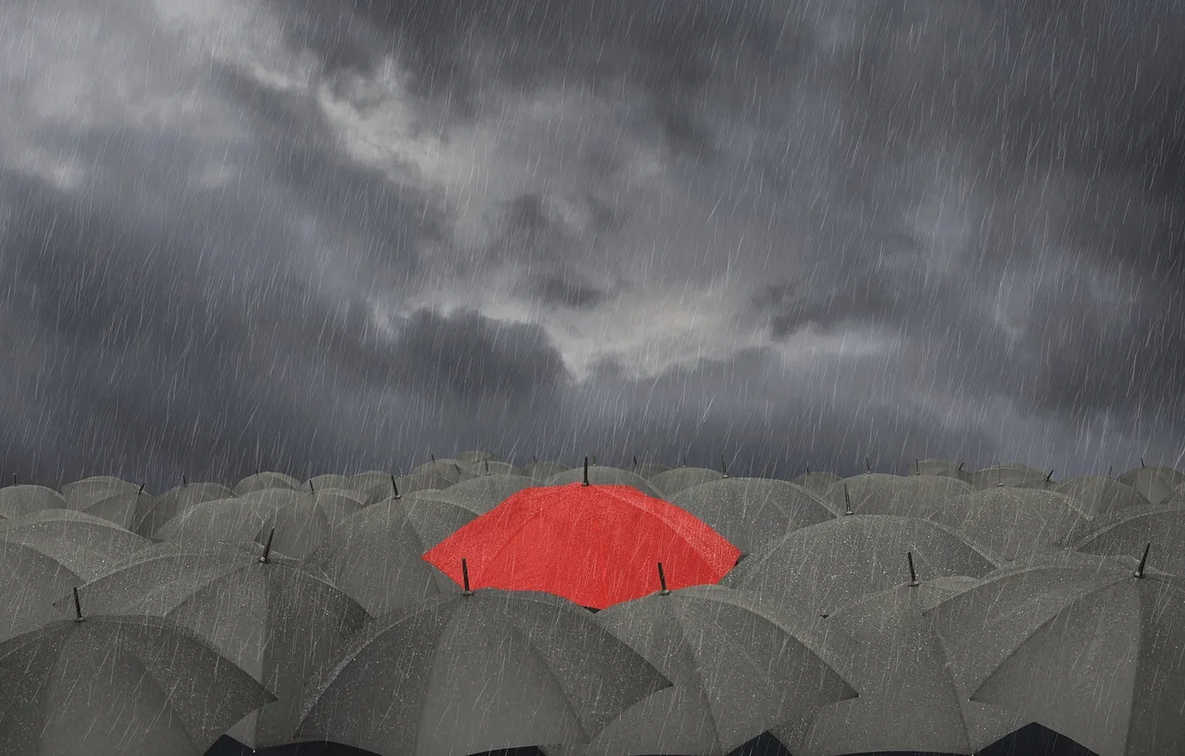 Фото обои красный, тучи, дождь, зонтики