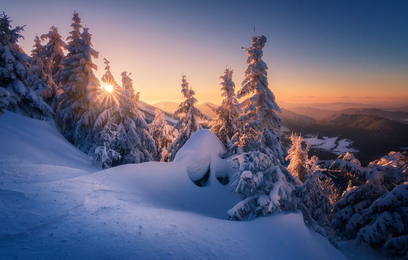 Фото обои зима, снег, деревья, закат, горы, ели, сугробы, Slovakia