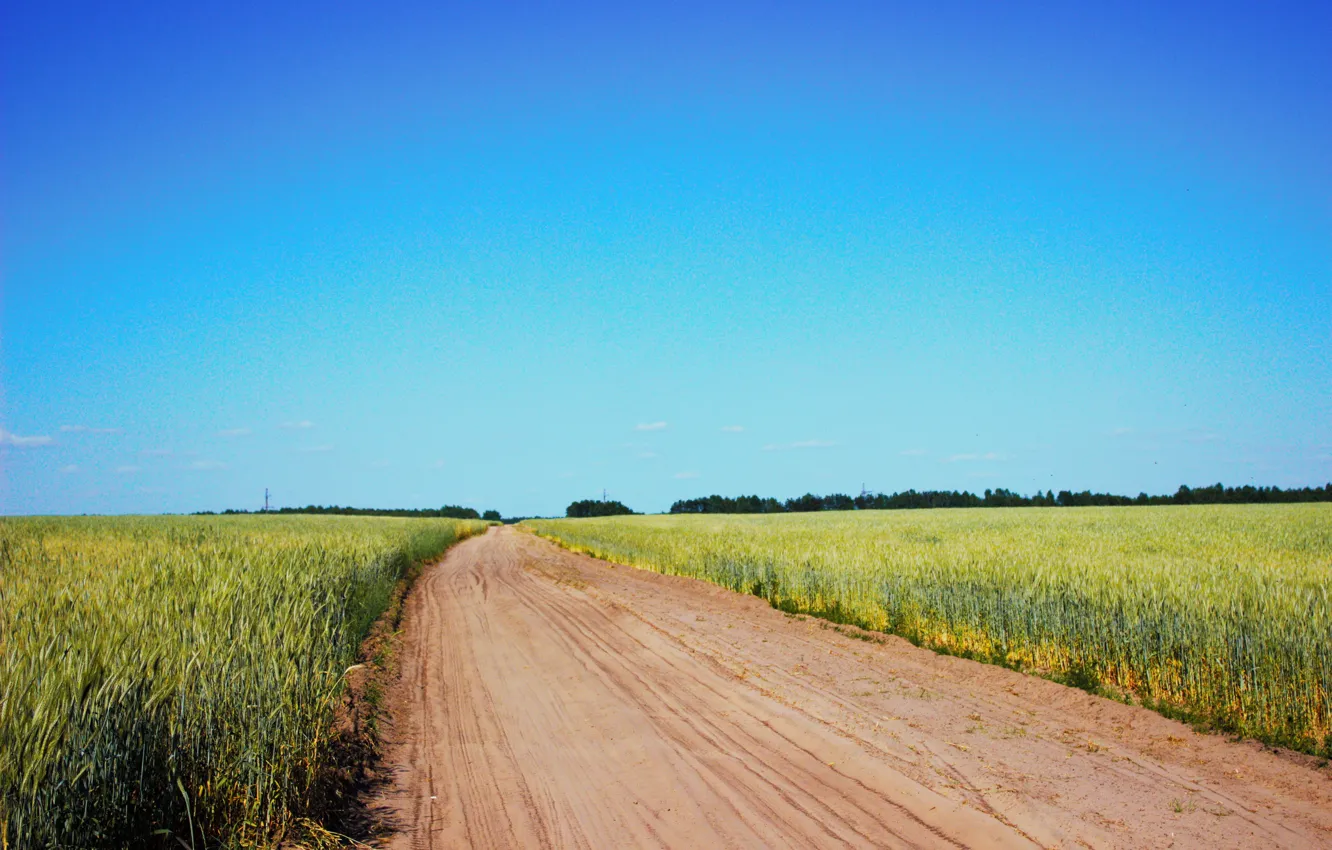 Фото обои дорога, поле, небо, колос, пыль