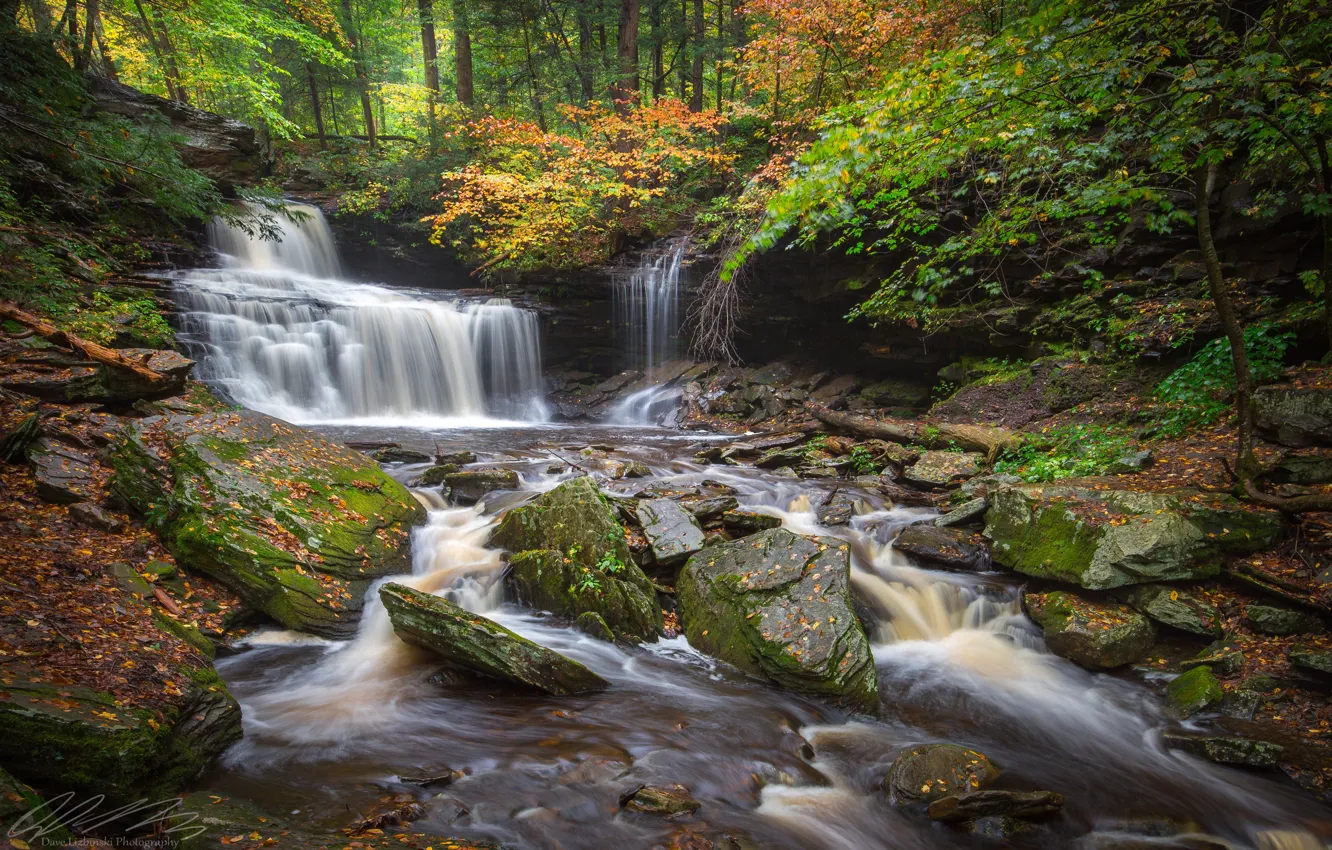 Фото обои осень, лес, листья, деревья, река, камни, водопад, Пенсильвания