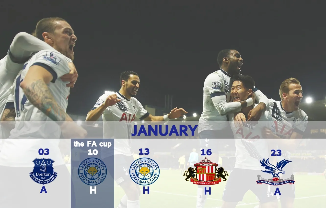 Фото обои football, Spurs, Tottenham Hotspur