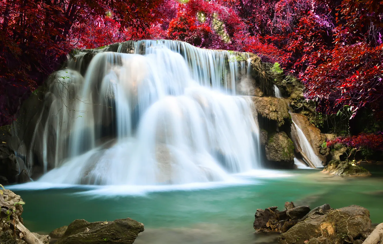 Фото обои осень, лес, река, водопад, forest, river, landscape, waterfall