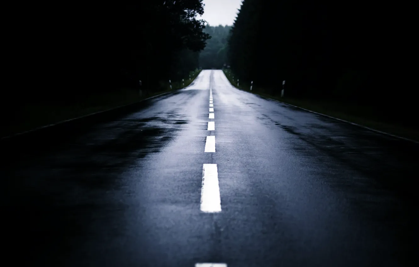 Фото обои дорога, лес, туман, вечер