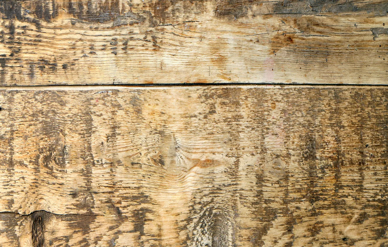 Фото обои древесина, wood, фактура