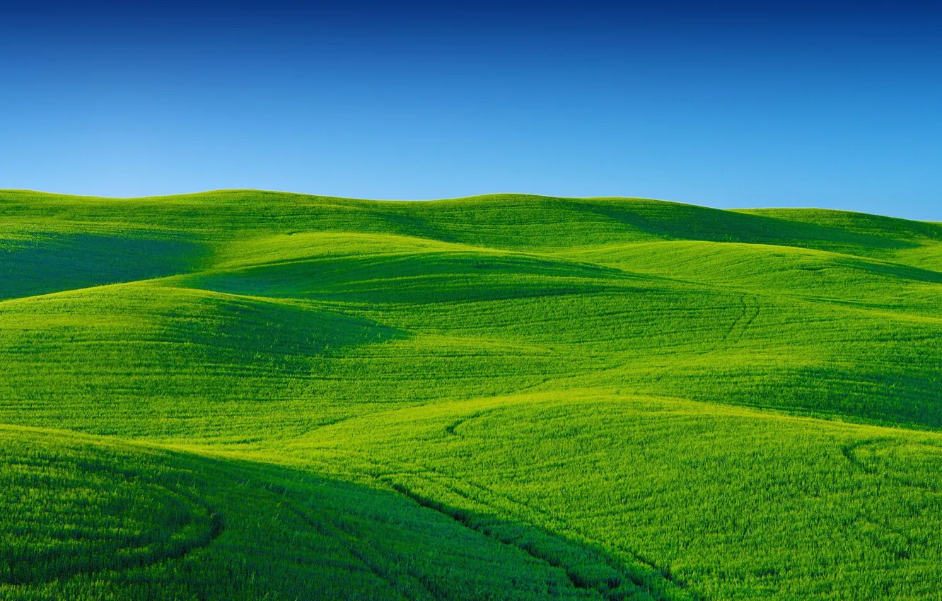 Фото обои небо, трава, поля, холмі
