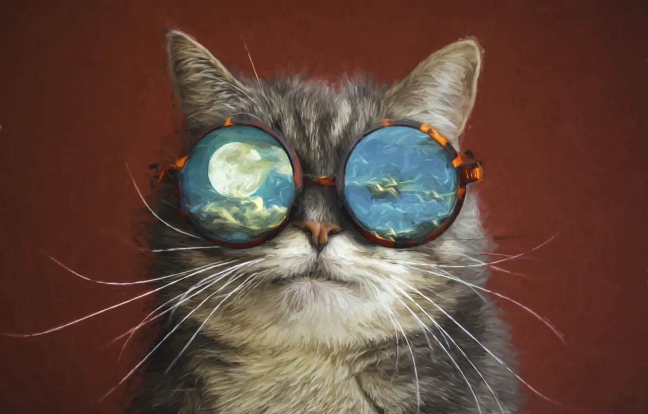 Фото обои кот, космос, луна, очки