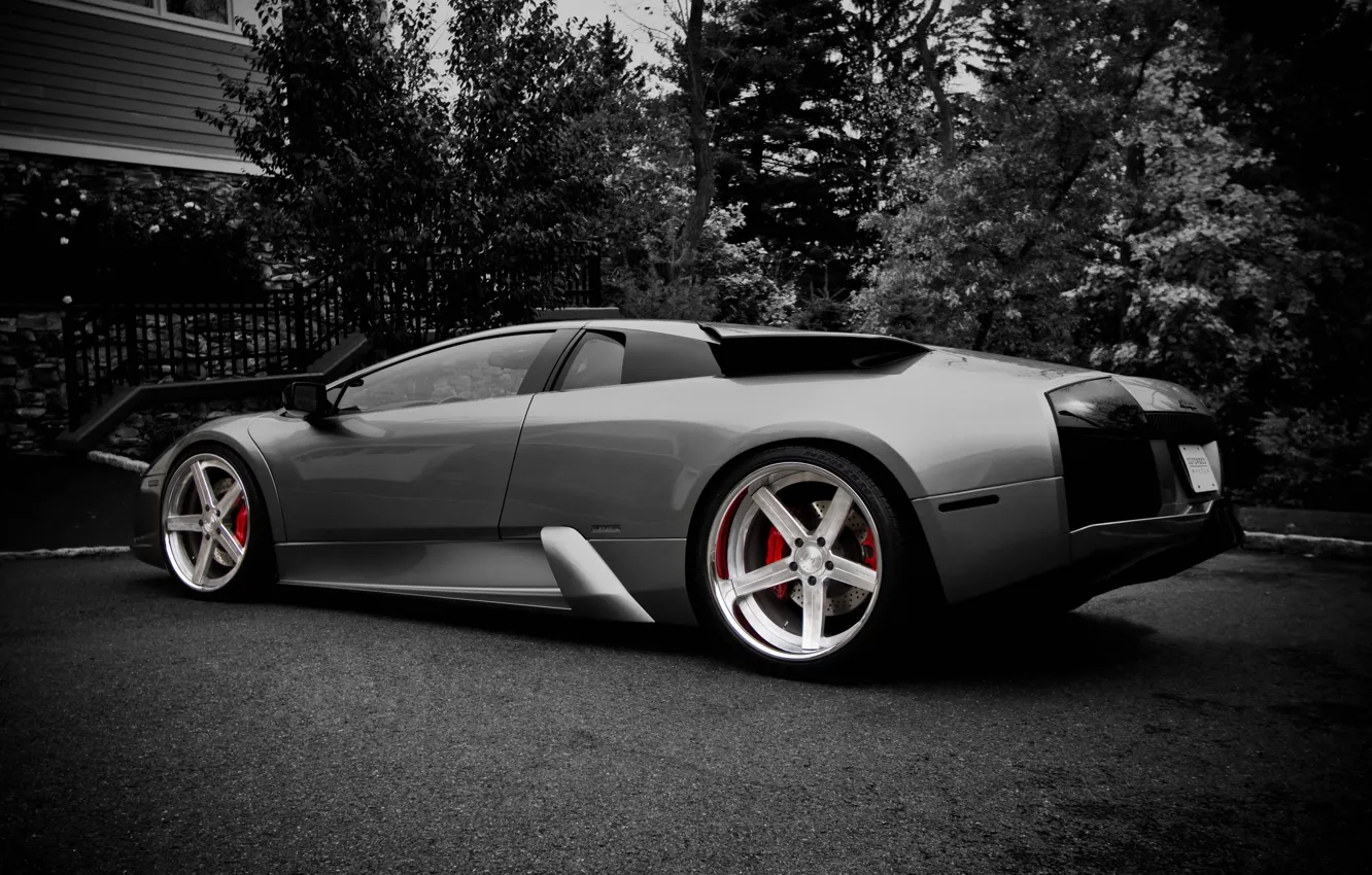 Фото обои Lamborghini, черно-белое, литье