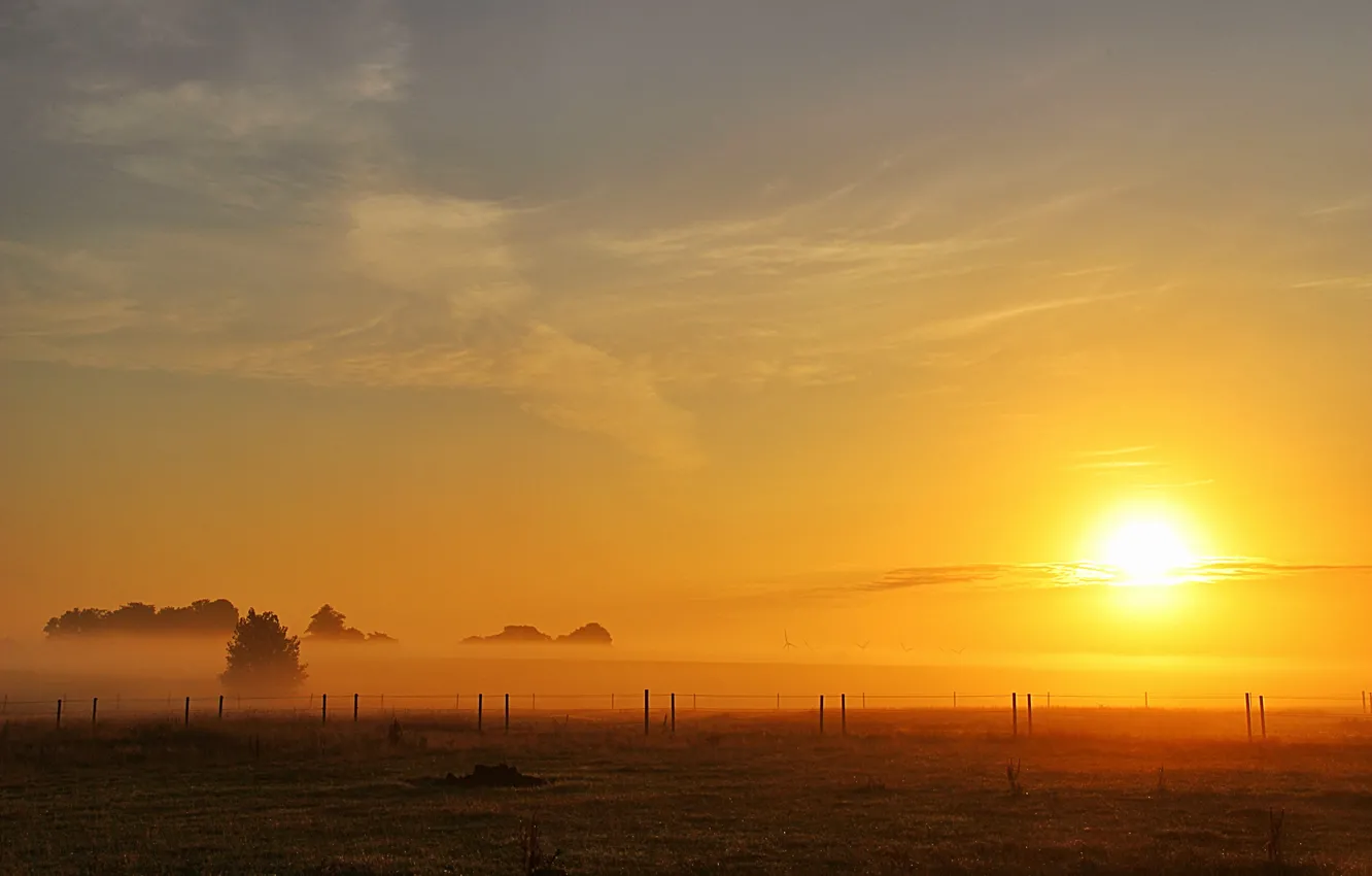 Фото обои поле, солнце, туман, забор, утро, field, morning, sun