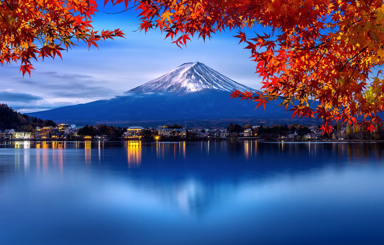 Фото обои осень, листья, деревья, парк, Япония, Japan, гора Фуджи, nature
