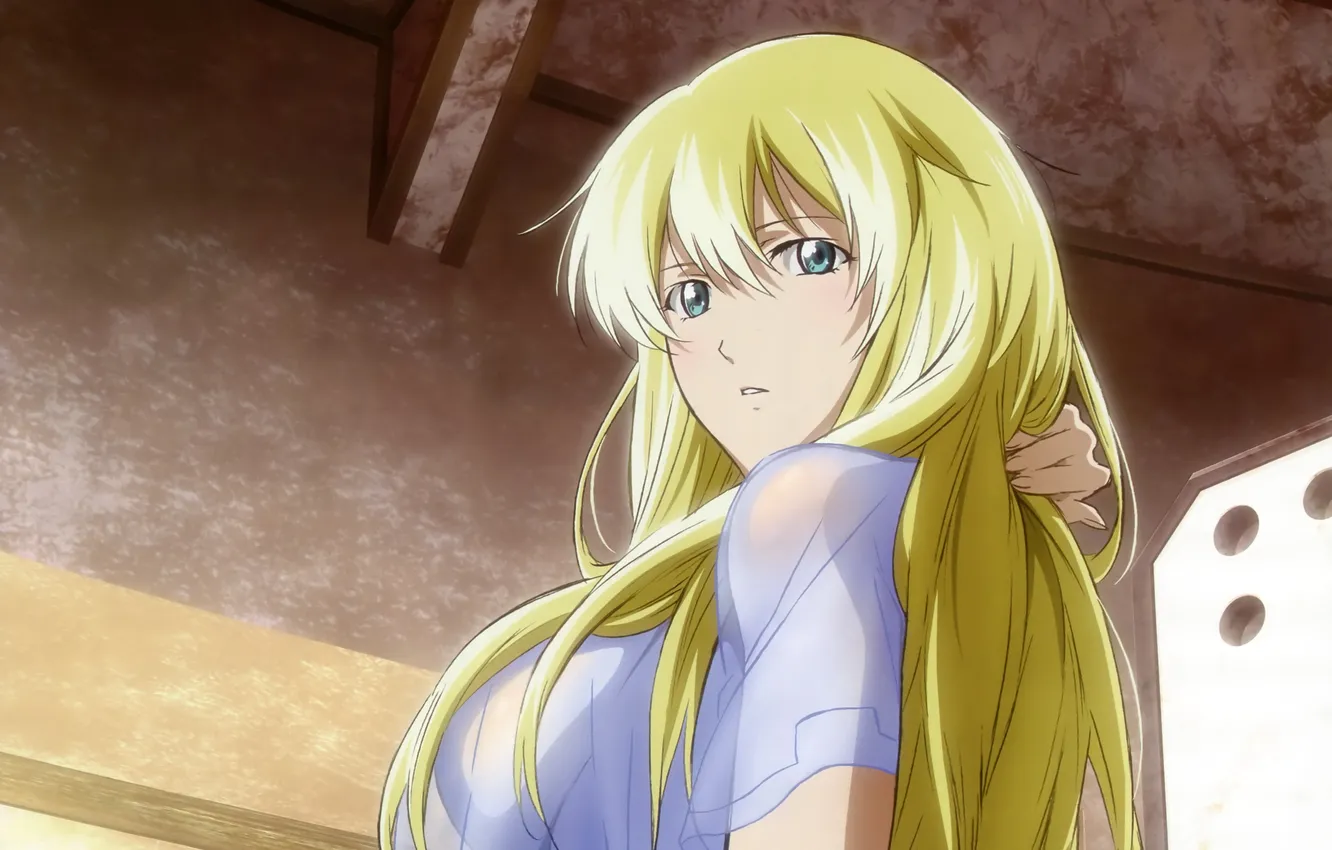 Фото обои взгляд, девушка, обои, блондинка, длинные волосы, anime, Sigyn Erster, Broken Blade
