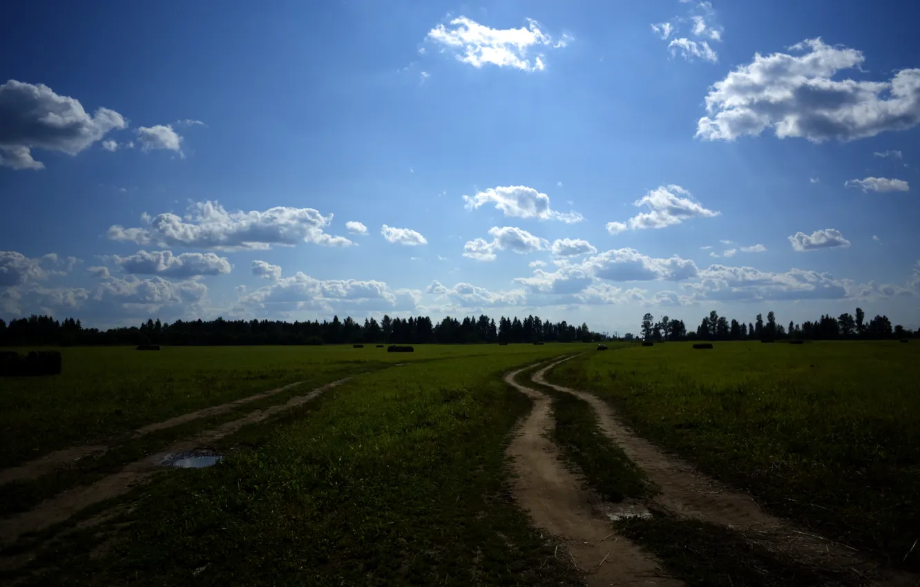Фото обои поле, лес, небо, облака, природа, голубое, Дорога, деревня
