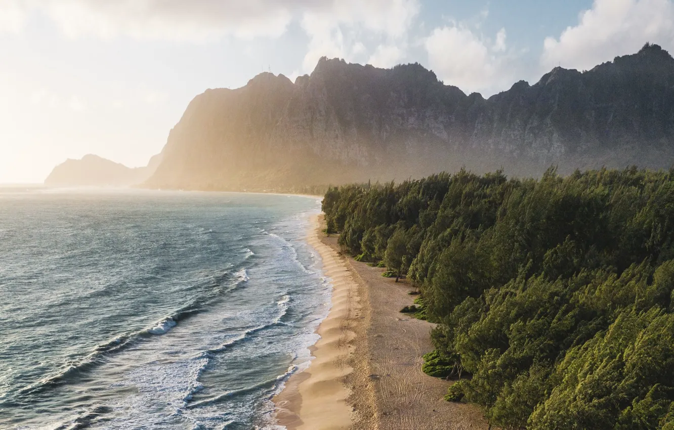 Фото обои waves, beach, trees, sea, landscape, nature, mountains, sunlight