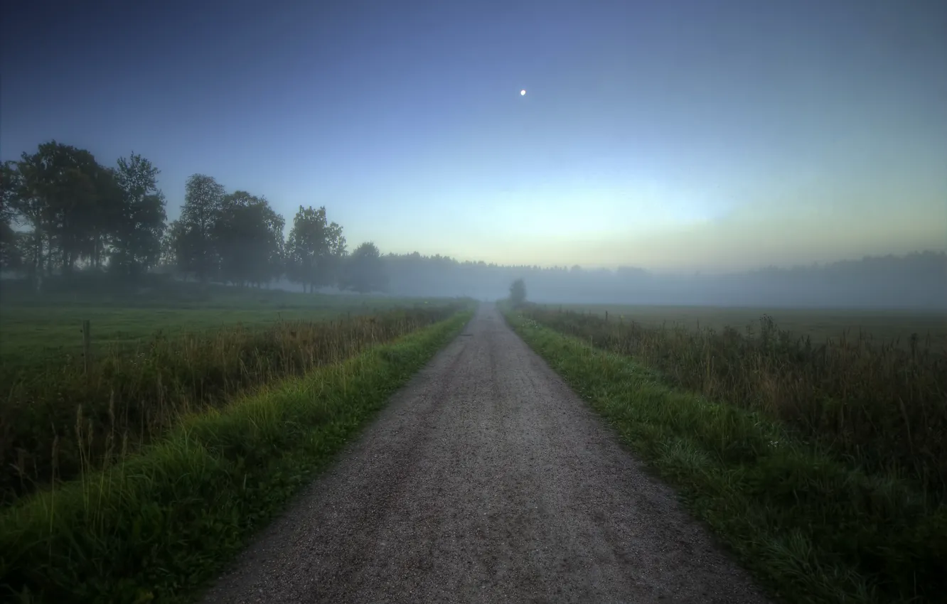 Фото обои дорога, поле, лес, лето, туман, рассвет, утро