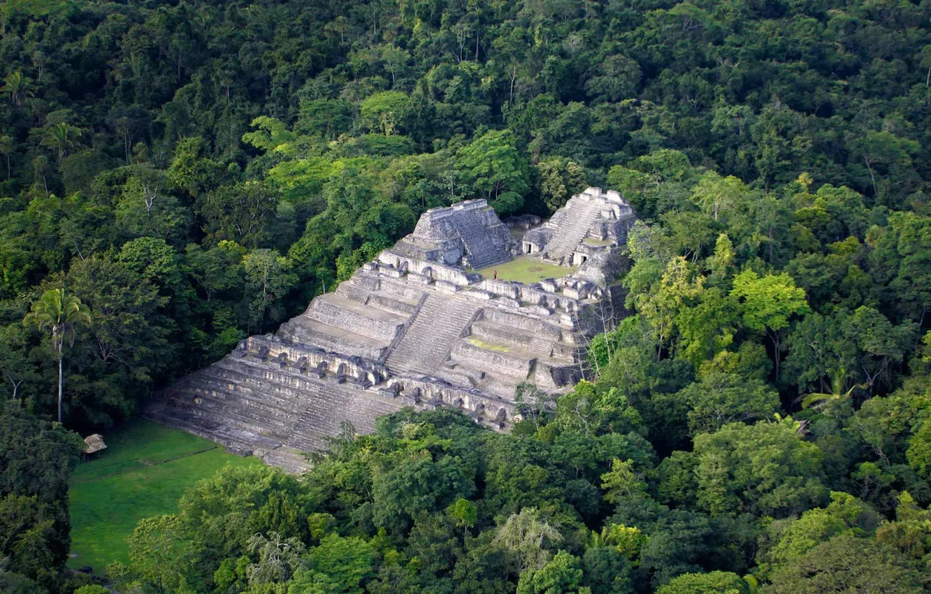 Фото обои лес, майя, пирамида, Белиз, Аракол
