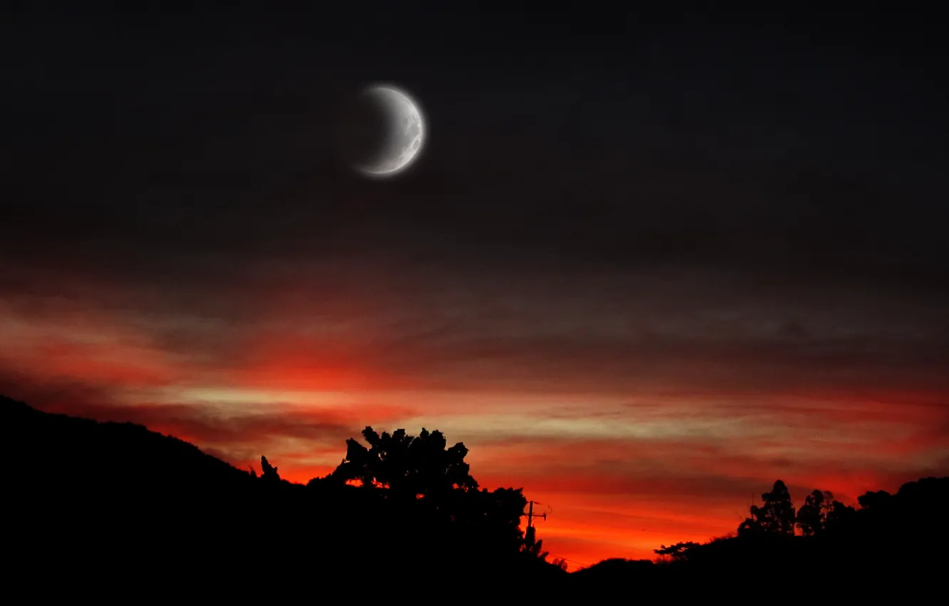 Фото обои moon, sunset, nihgt