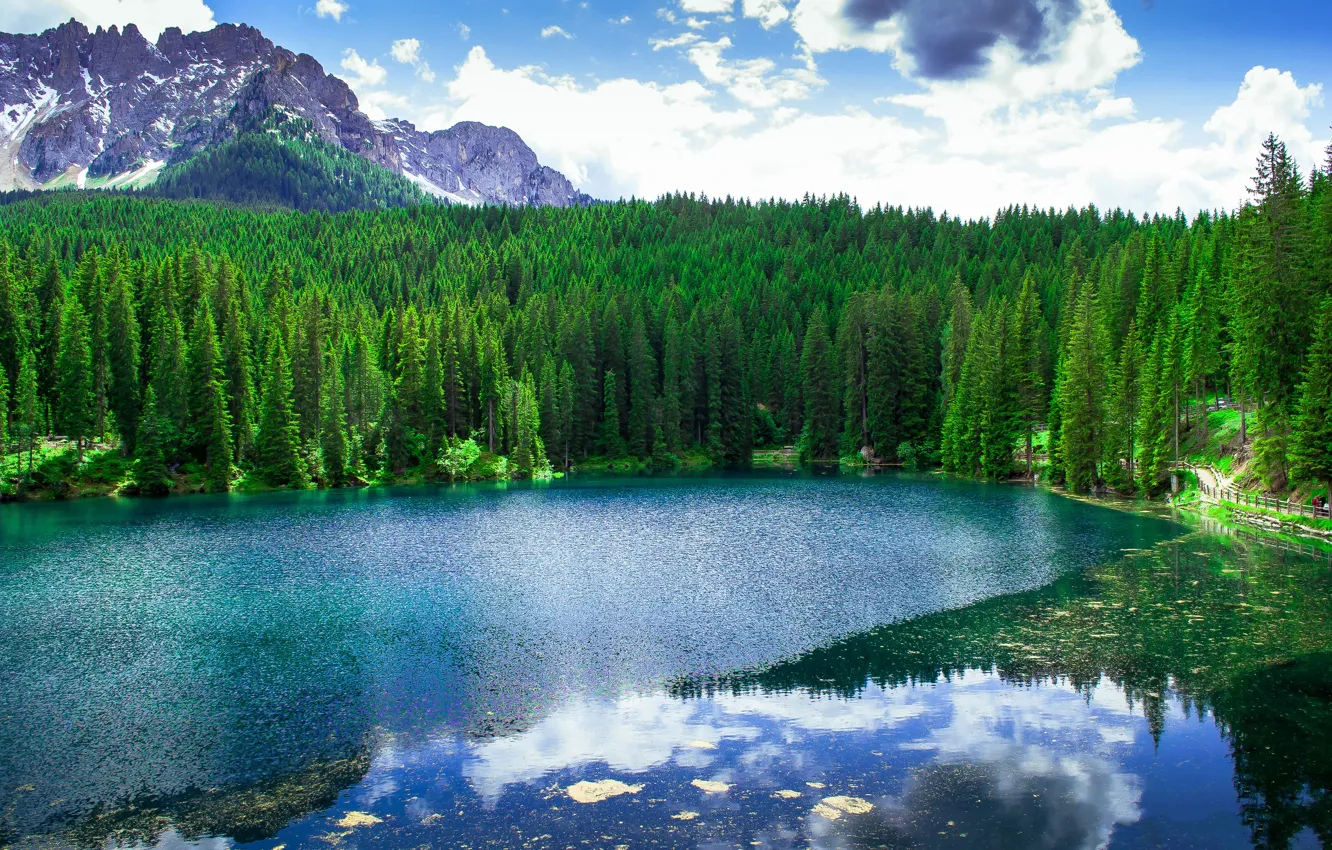 Фото обои лес, деревья, пейзаж, горы, Италия, озеро Карецца