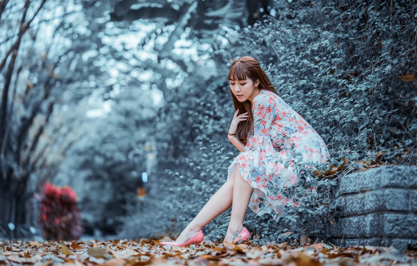 Фото обои осень, листья, парк, платье, ножки, азиатка, боке