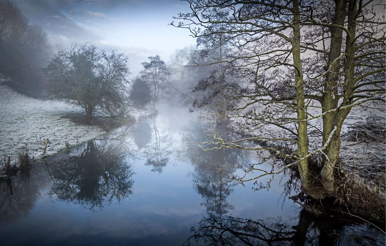 Фото обои река, дерево, ольха, Winter on the Wye