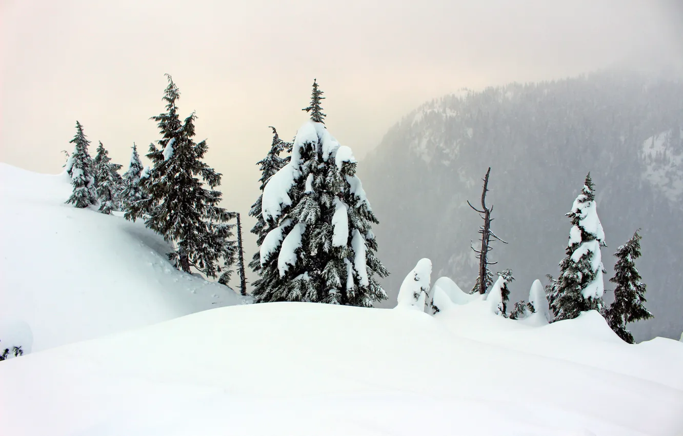 Фото обои зима, снег, горы, туман