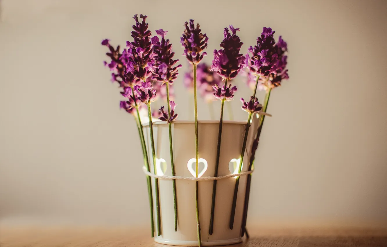Фото обои цветы, ваза, лаванда