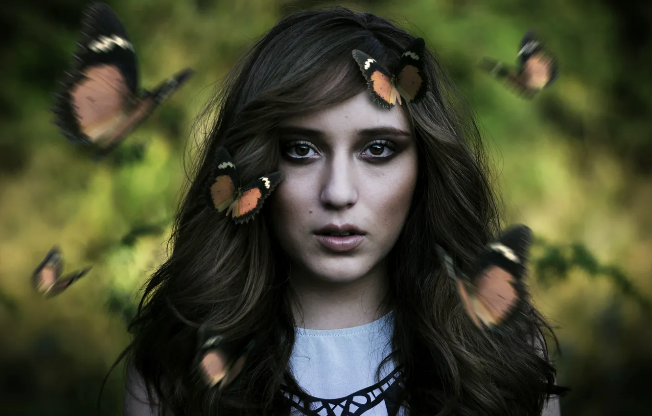 Фото обои взгляд, девушка, бабочки, лицо, настроение, волосы