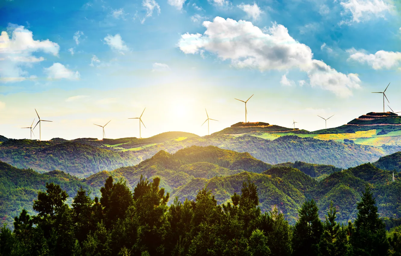 Фото обои лес, солнце, облака, свет, горы, холмы, вид, даль