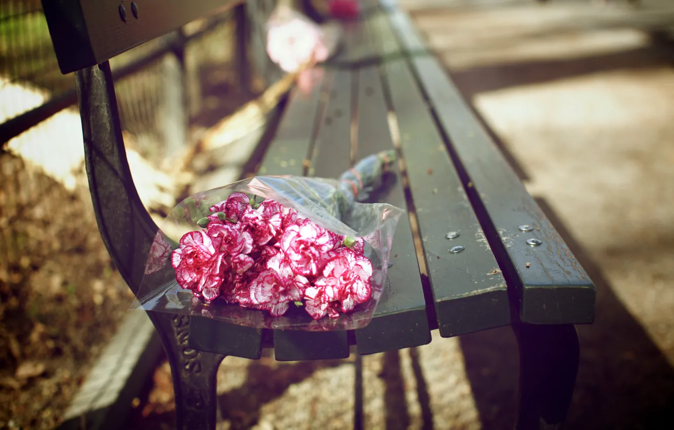 Фото обои радость, цветы, парк, розовый, забор, цвет, лепестки, тротуар