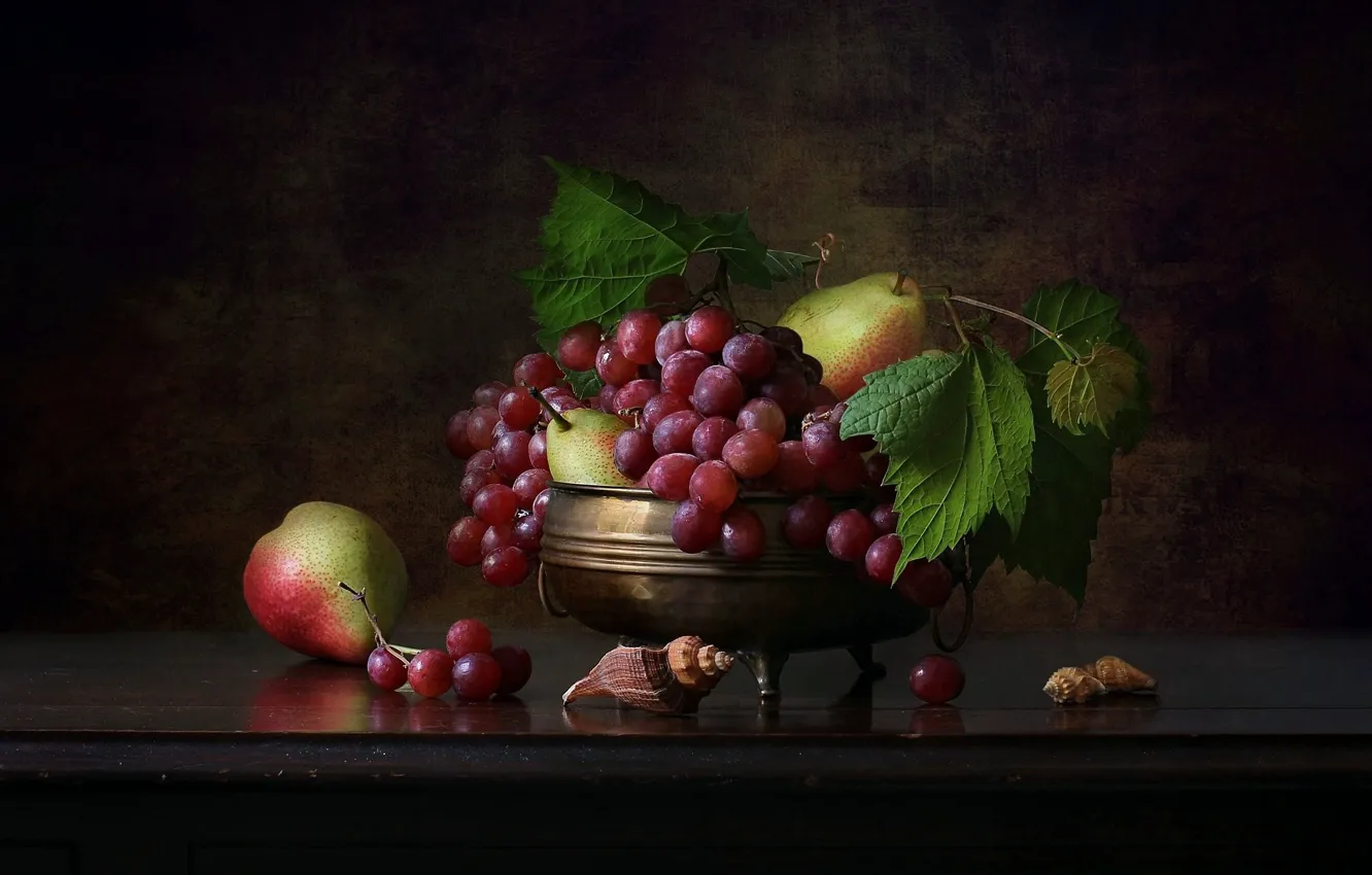 Фото обои стиль, виноград, ракушки, фрукты, натюрморт, груши