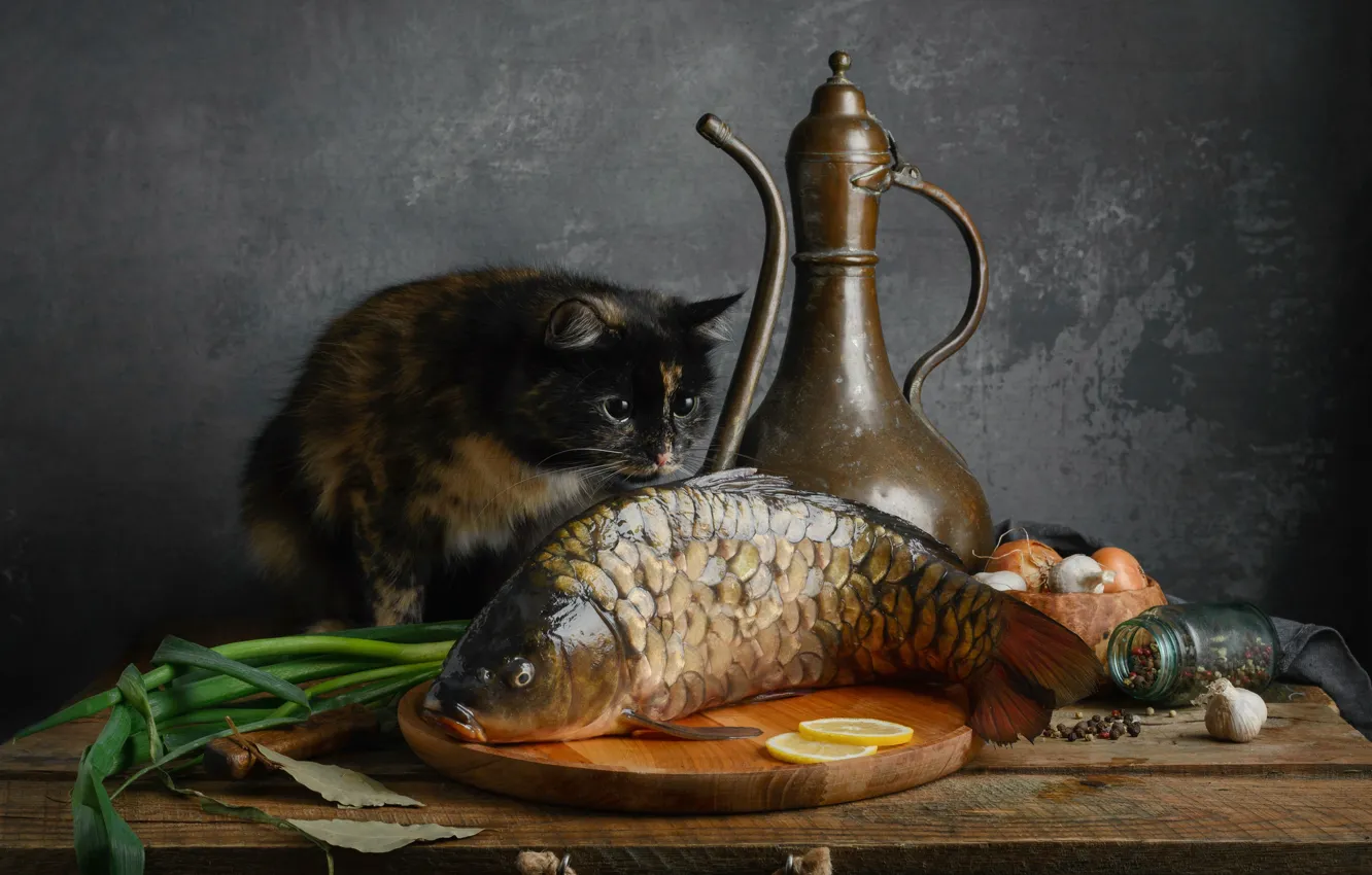 Фото обои кошка, кот, рыба, карп