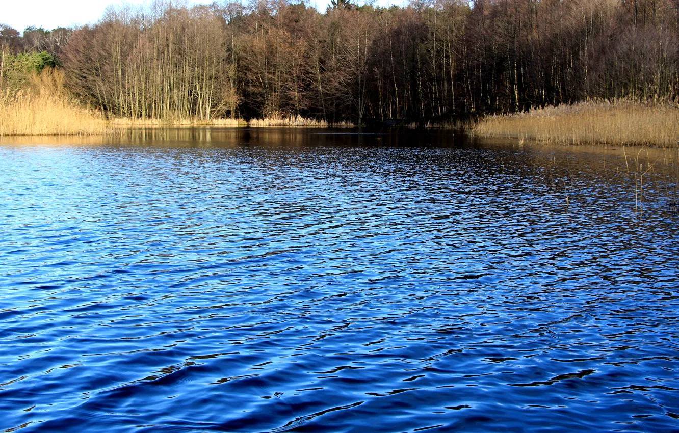 Фото обои water, lake, pnd