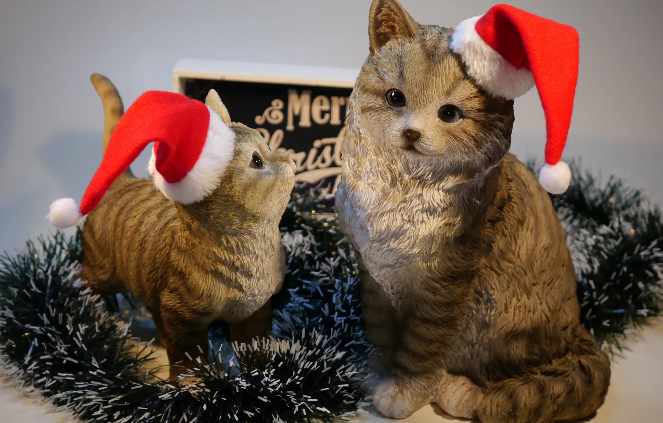 Фото обои кошки, котенок, фон, праздник, игрушки, новый год, киски, рождество